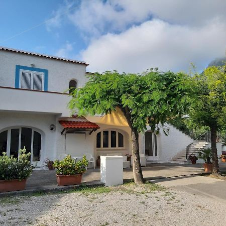 Cocos Park Ischia Bed & Breakfast Forio  Exterior photo