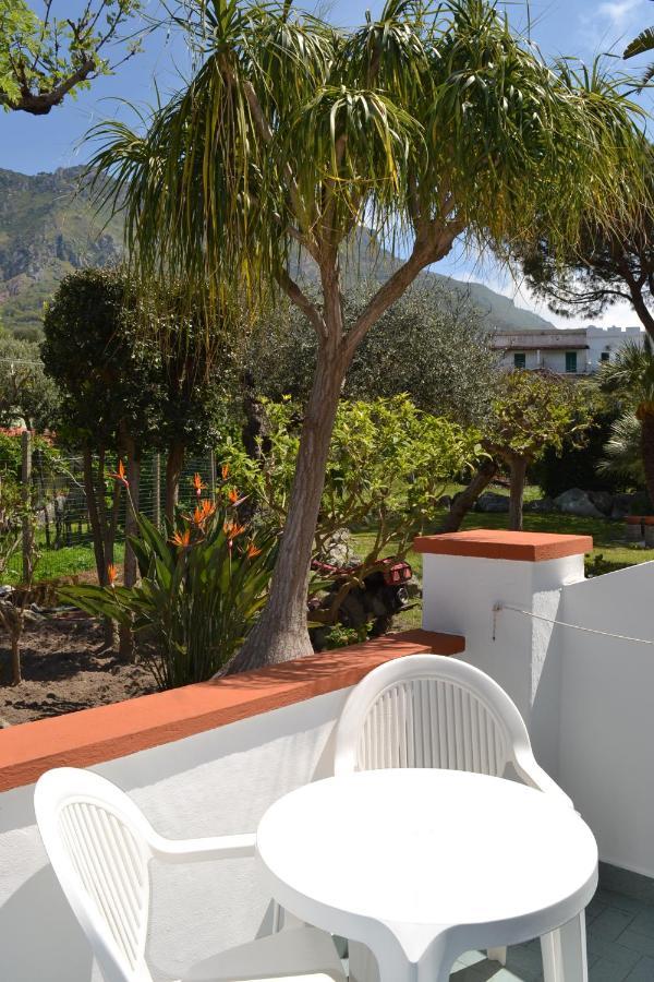 Cocos Park Ischia Bed & Breakfast Forio  Exterior photo